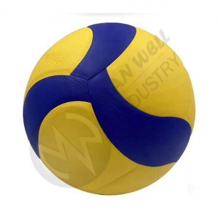 Volley Ball